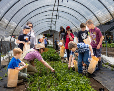 Education, Access & Advocacy