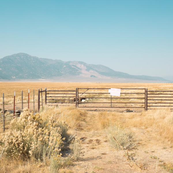 Open field with corrals i