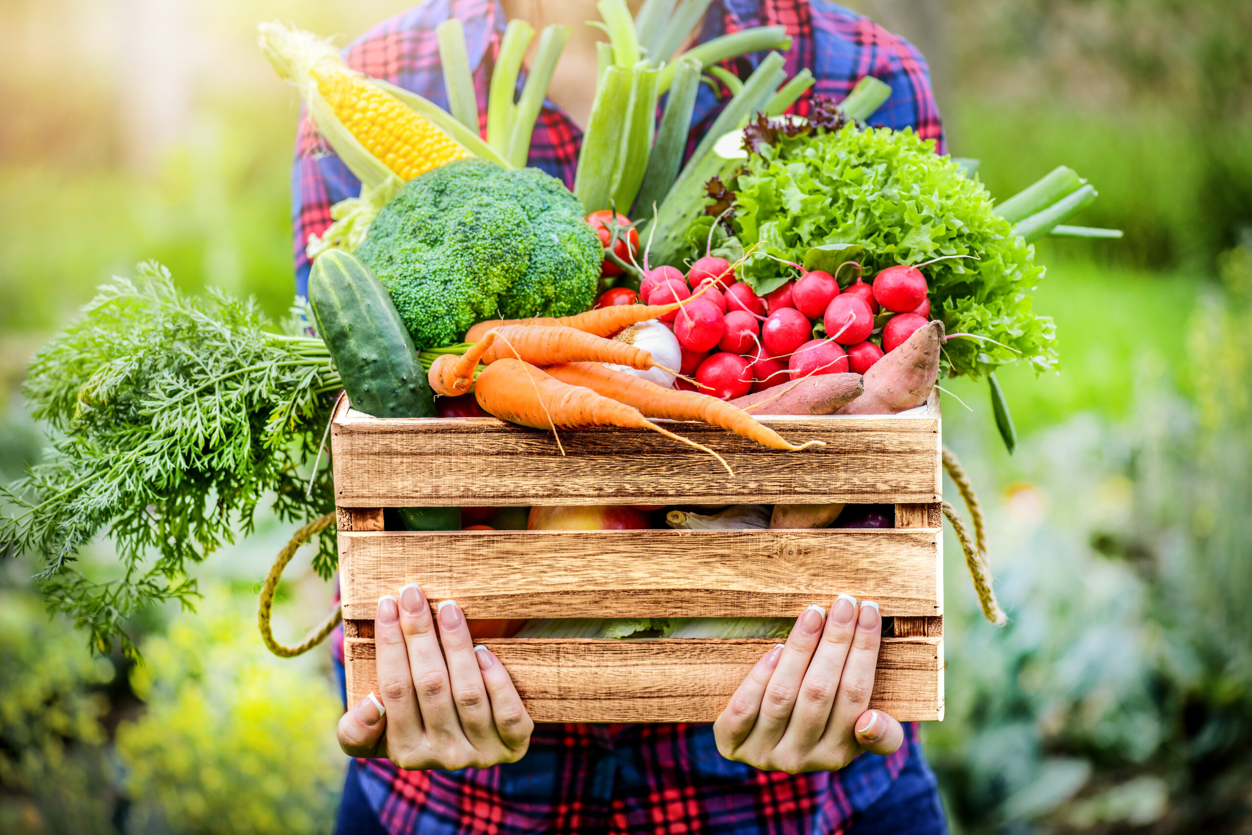 Person holding wooden box of variety of produce