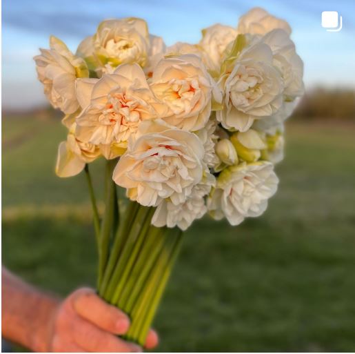 Burlap N Buds Flower Festival