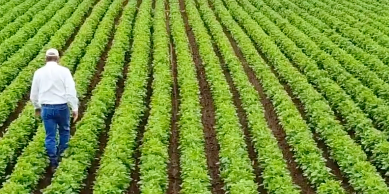 |||||||||||||||||||||||||||||