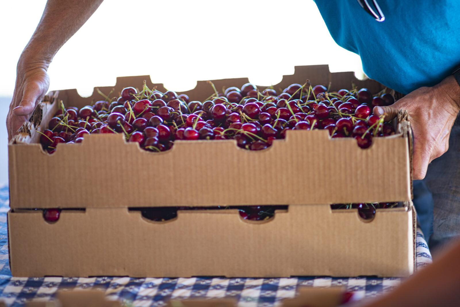Gem Orchards cherries