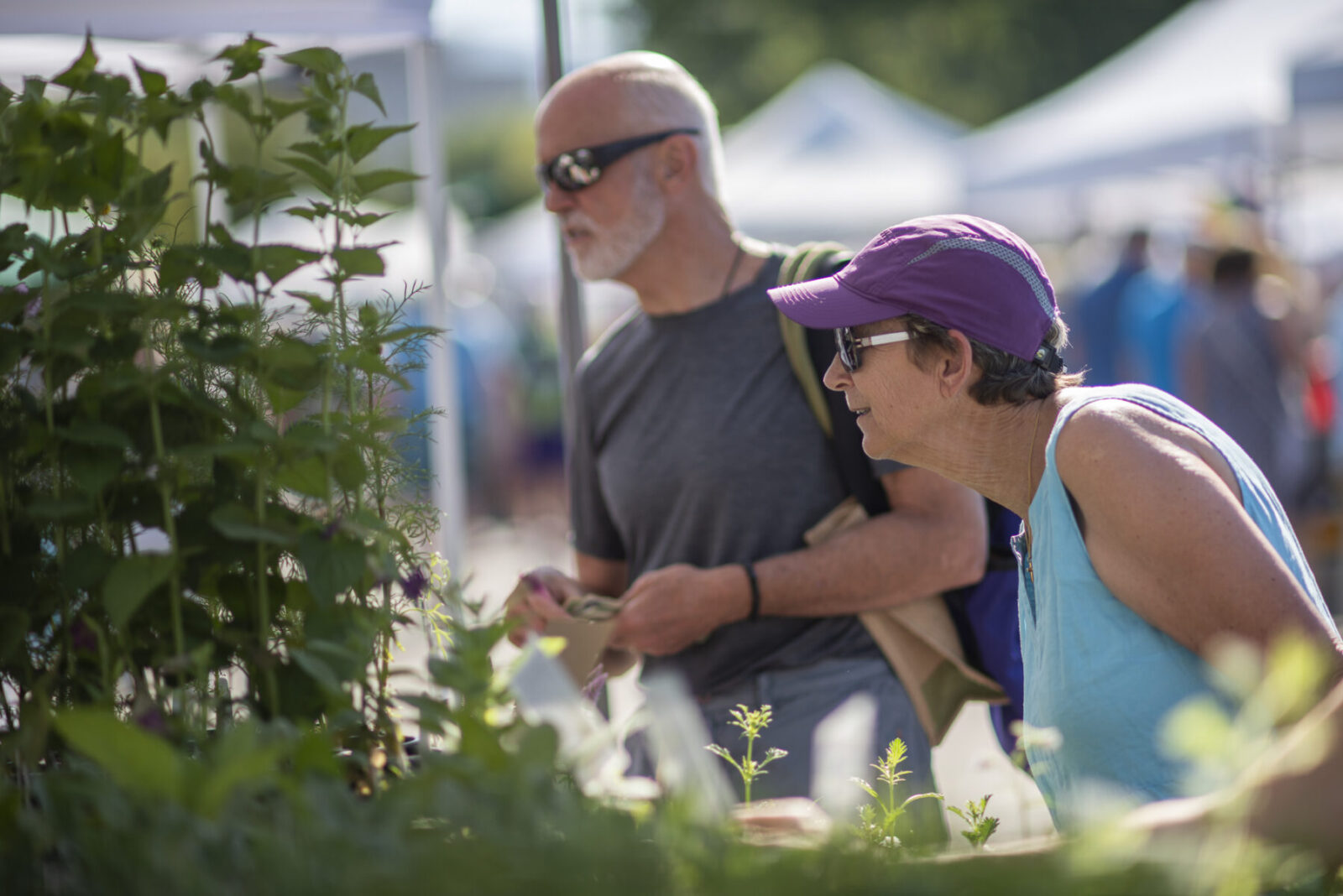 Boise Farmers Market