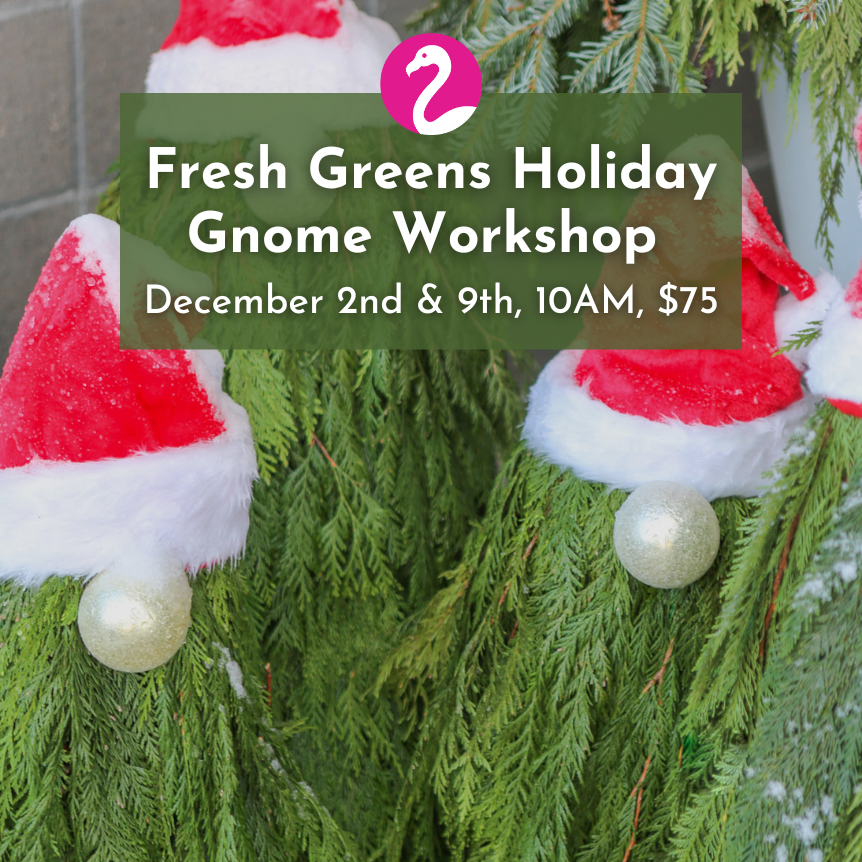 Franz Witte Green Holiday Gnome Workshop