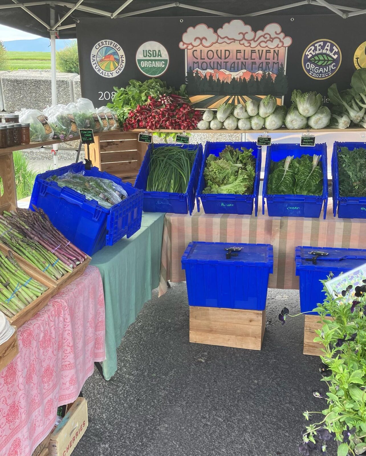 Cloud Eleven Mountain Farm in Moyie Springs, ID offers an abundance of organic greens, crisp produce and more at their weekly farmers market booths in Bonners Ferry and Sandpoint, Idaho. 