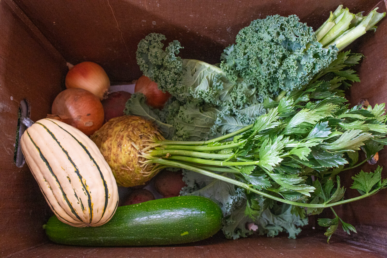 An example of what an Idaho Community Supported Agriculture Share Box might look like.  