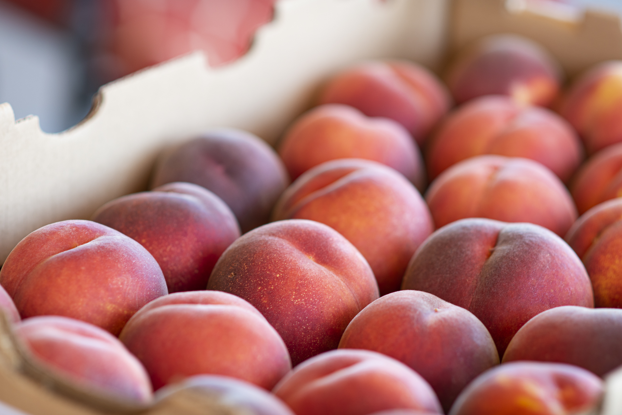 Idaho Peaches