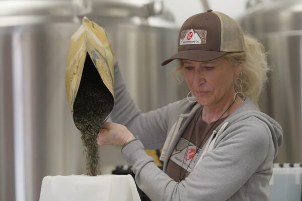 organic kombucha teri landa