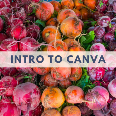 Intro to Canva